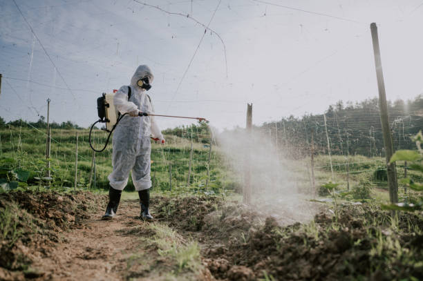 Best Pest Control Cost  in Irvington, KY