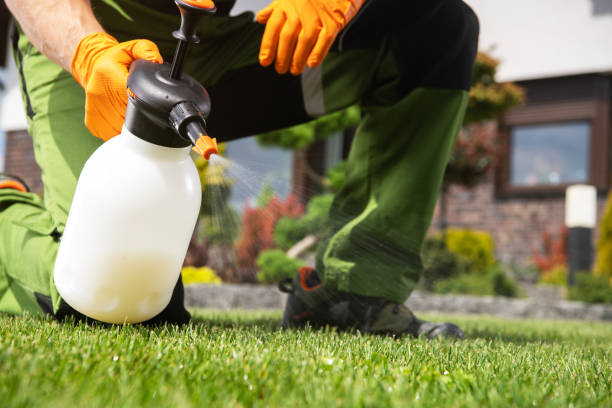 Best Emergency Pest Control  in Irvington, KY