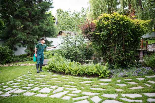 Best Residential Pest Control  in Irvington, KY