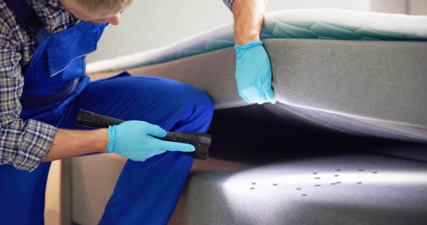 Professional Pest Control in Irvington, KY