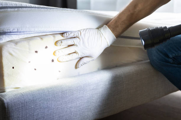 Best Pest Inspection Near Me  in Irvington, KY