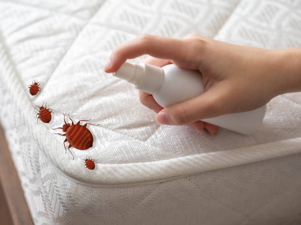 Best Bed Bug Extermination  in Irvington, KY