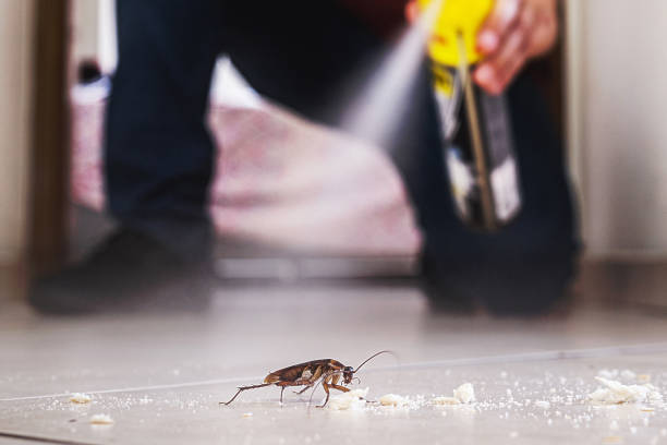 Best Pest Removal Services  in Irvington, KY