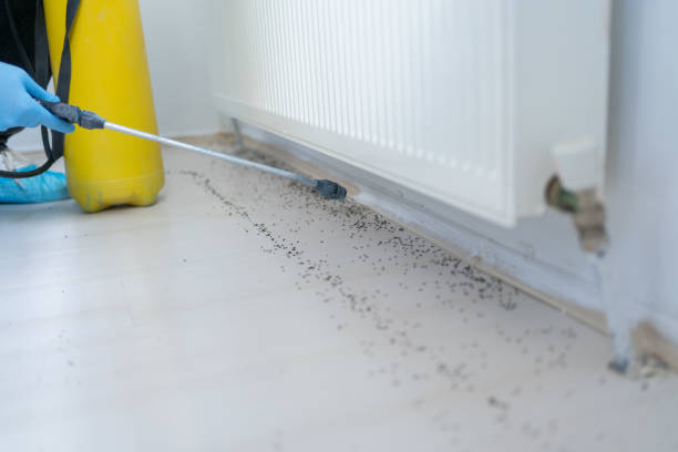 Pest Prevention Services in Irvington, KY