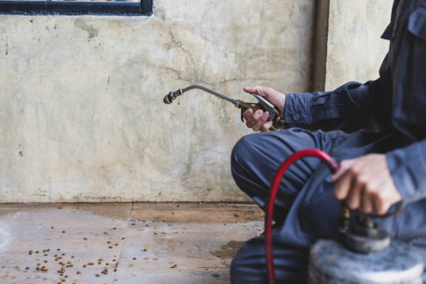 Best Mosquito Control Services  in Irvington, KY